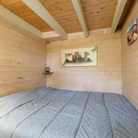 Petite Mitoyenne Dans Pinede * Lacanau