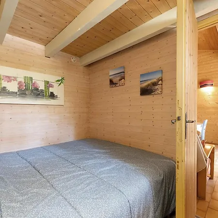 Petite Mitoyenne Dans Pinede * Lacanau